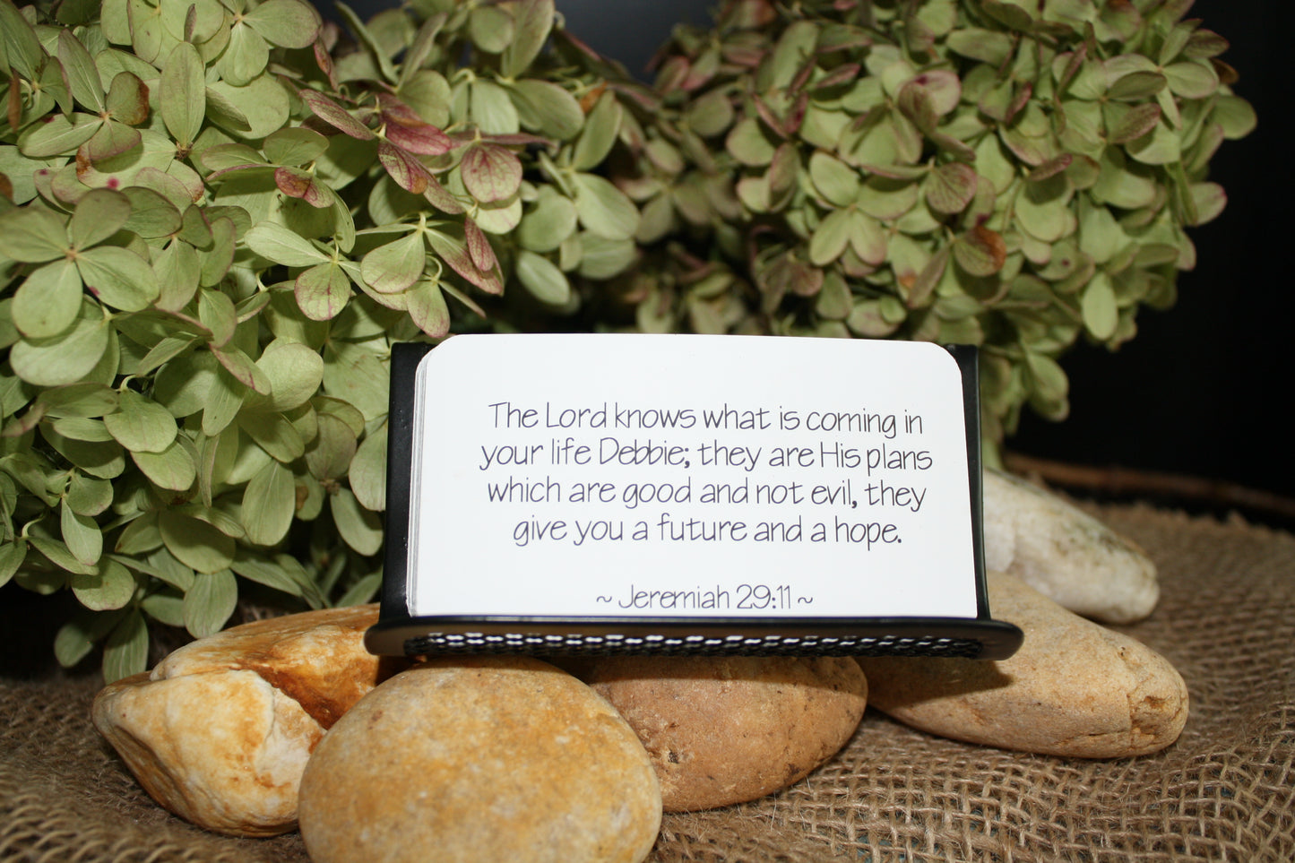 The Word for Everyday Life (For Families)