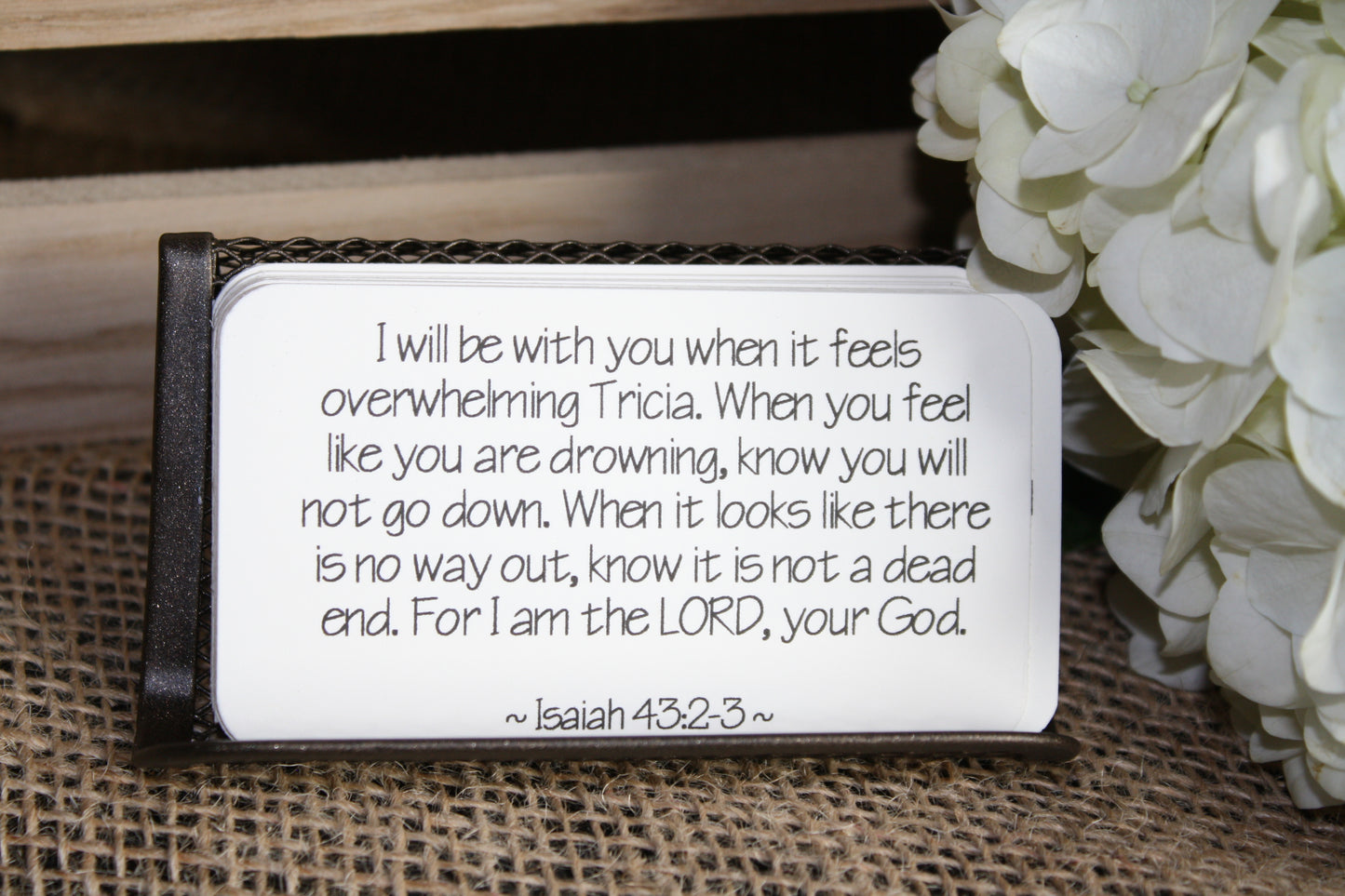 Promises of God (For Individuals)